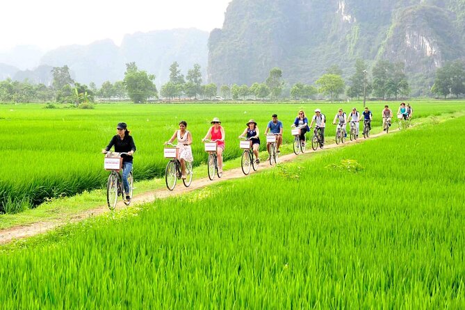 Ninh Binh Full Day Tour with Hoa Lu, Tam Coc and Mua Cave - What the full-day pace feels like: timing, group size, and how to prep