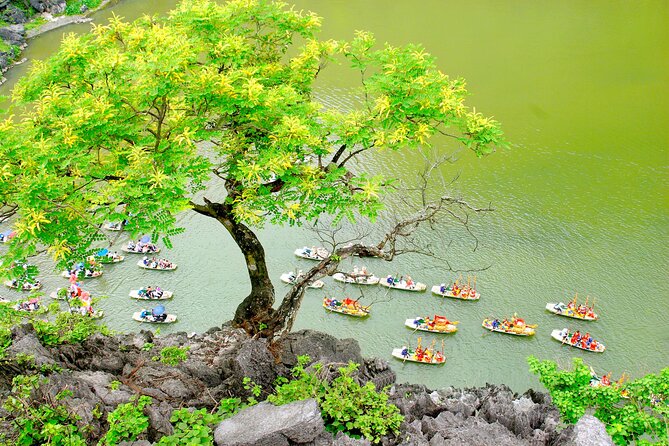 Ninh Binh Full Day Tour with Hoa Lu, Trang An and Mua Cave - Who This Tour Fits Best