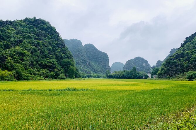 Ninh Binh Full Day Trip From Hanoi To Hoa Lu, Trang An, Mua Cave - Quick reasons this day trip works