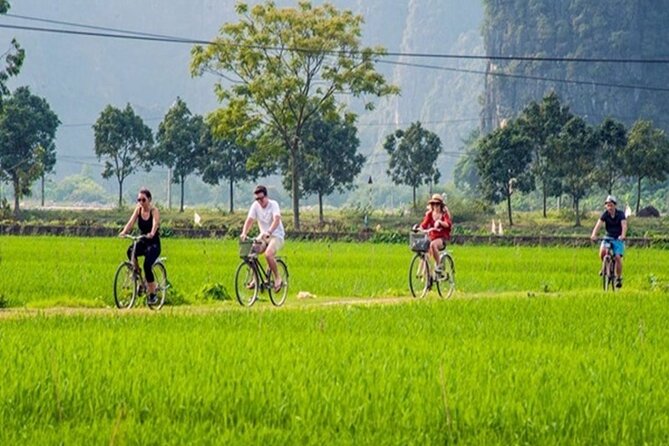 Ninh Binh Full-Day Trip to Trang An Mua Cave Hoa Lu Buffet Lunch - Stop 2: Trang An grotto boat cruise and the UNESCO factor