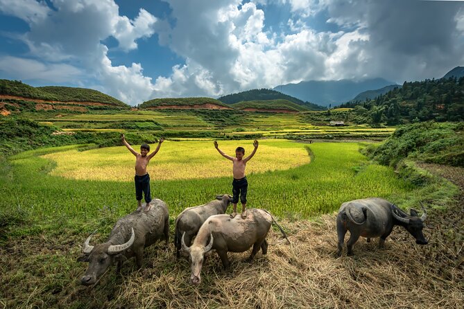 Ninh Binh Group Tour of 11 from Hanoi via Mua Cave Tam Coc Hoa Lu - Hoa Lu temple stop: cultural balance after outdoor time