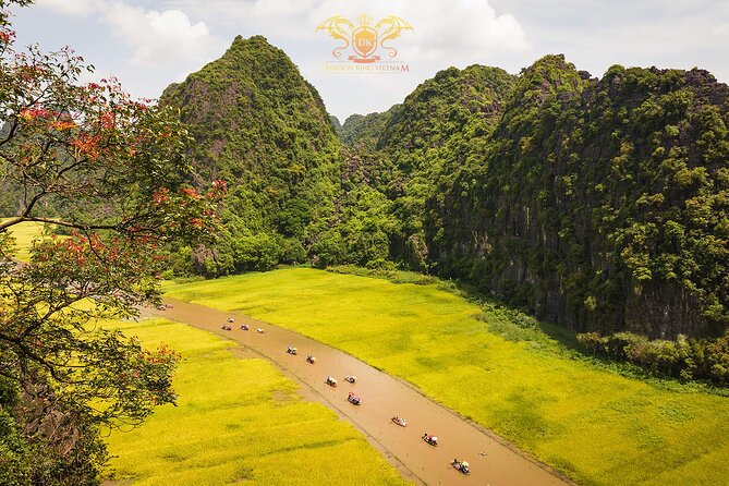 Ninh Binh Highlights Tour - Hoa Lu, Trang An And Mua Cave - Hoa Lu Ancient Capital: Temples With Stories You Can Follow