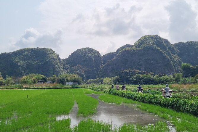 Ninh Binh HIGHTLIGHT & HIDDEN GEM Tour From Hanoi: Skip-The-Line - How the Guide Affects the Day More Than You Think