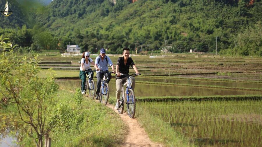 Ninh Binh - Hoa Lu - Tam Coc - Mua Caves & Buffet Lunch - Mua Cave (Dancing Cave) and the Almost-500 Steps Payoff