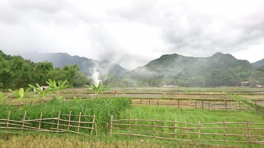 Ninh Binh - Hoa Lu - Tam Coc - Mua Caves & Buffet Lunch - Buffet Lunch Options and What You Will Actually Eat