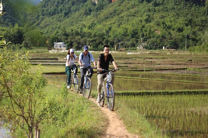 NINH BINH MEMORABLE DAY: Hoa Lu, Mua Cave, boat trip Tam Coc, Trang An optional - Cycling in Ninh Binh, a quick way to feel local