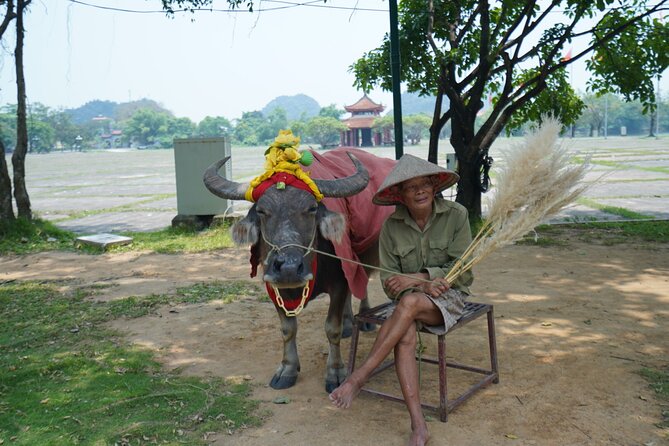 Ninh Binh One Day Trips- from Hanoi - Lunch in Ninh Binh: Buffet Comfort When the Day Gets Full