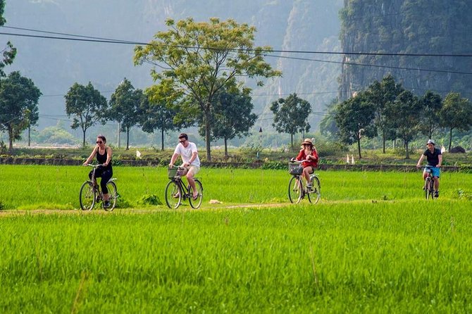 Ninh Binh Private Day Tour: Mua Cave, Tam Coc, Hoa Lu All Include - Mua Cave and the big panoramic viewpoint moment
