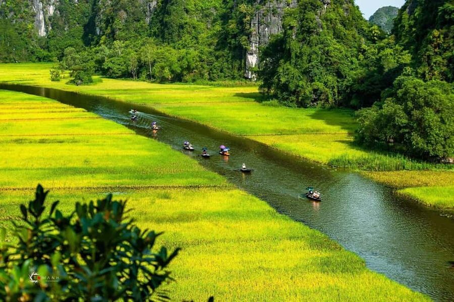 Ninh Binh Private: Hoa Lu & Tam Coc & Bich Dong & Mua Caves - Who should book this private Ninh Bình day trip