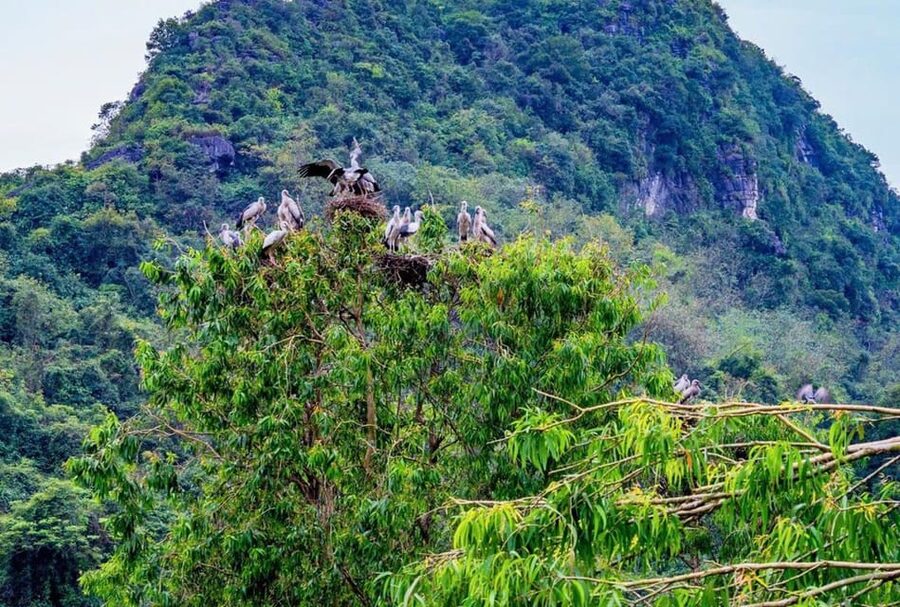 Ninh Binh Private Tour: Tam Coc, Bich Dong and Thung Nham - Bich Dong Pagoda: Three Pagodas Built Up the Mountain