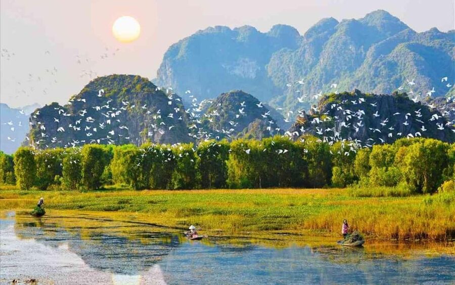 Ninh Binh Private Tour: Tam Coc, Bich Dong and Thung Nham - What the Best Guide Adds: English, Pacing, and Photo Help