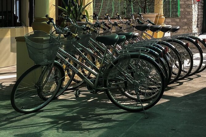 Ninh Binh Private VIP Tour - What you get for $403: how the pricing pencils out