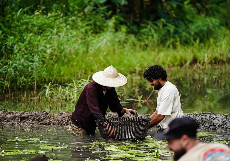 Ninh Binh: Rice planting and fishing by basket tour - Key points worth knowing before you go