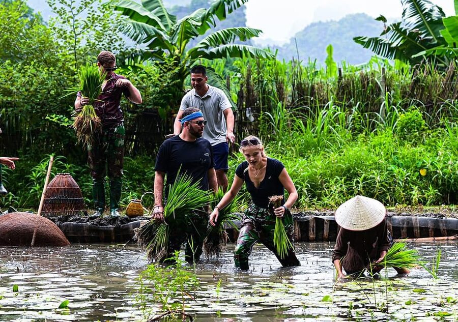 Ninh Binh: Rice planting and fishing by basket tour - Why This Ninh Binh Farm Tour Feels More Real Than a Standard Stop