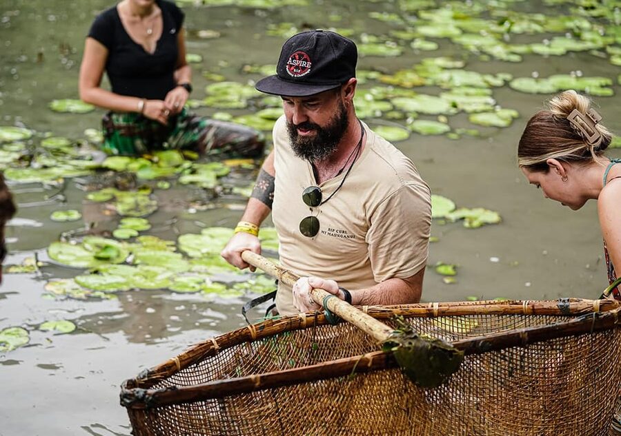 Ninh Binh: Rice planting and fishing by basket tour - Buffalo Time: Feeding, Riding, and Why It Sets the Tone