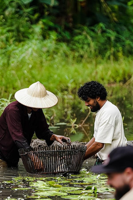 Ninh Binh: Rice planting and fishing by basket tour - Price and Value: What $25 Really Buys You Here
