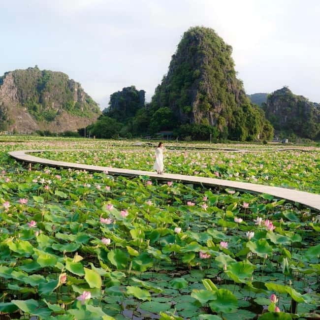 Ninh Binh Sunset Motorbike: Mua Cave, Coi Khe & Hoa Lu Town - The motorbike setup, helmets, and what “small group” really means