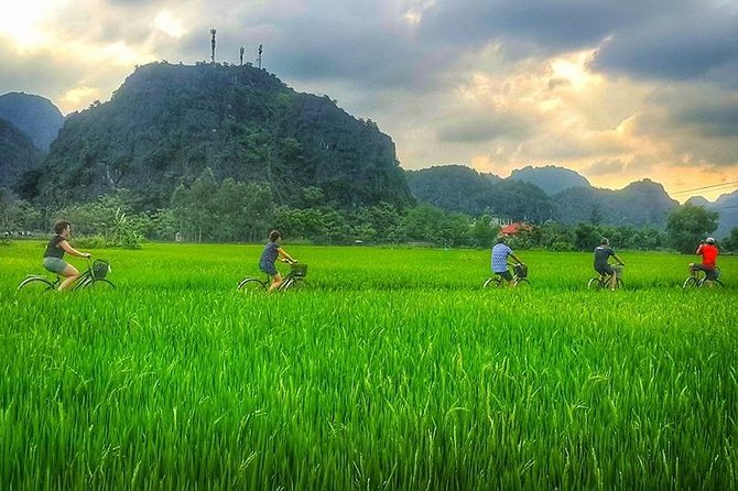 Ninh Binh Tour Bai Dinh Trang An Mua Cave Small Group Limousine - Trang An Boat Trip and Buffet Lunch Setup
