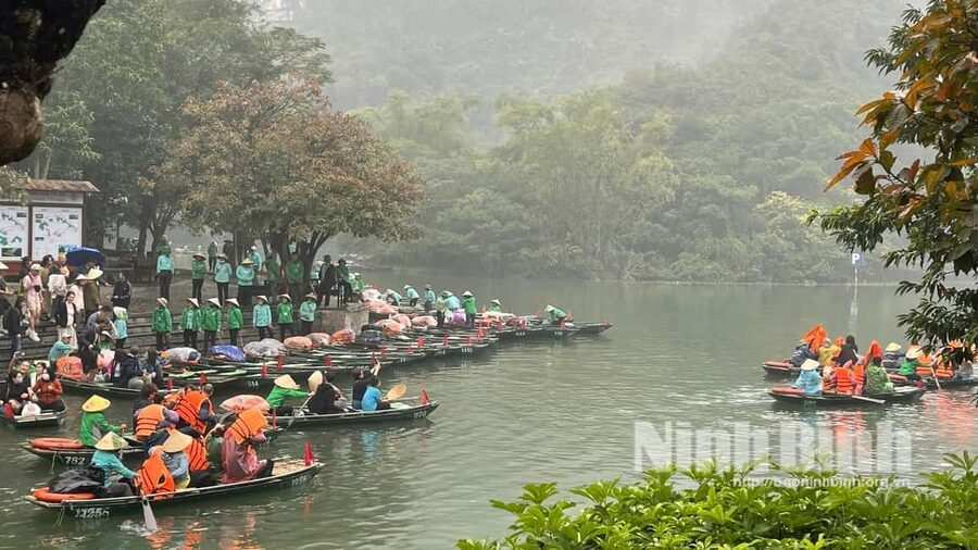 Ninh Binh: Trang An Boat Ride, Hoa Lu & Mua Cave Sunset - Mua Cave (Hang Múa) and Ngoa Long Peak: The Steps That Pay Off