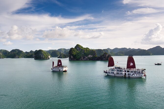 Overnight Bai Tu Long Bay Cruise from Hanoi - Ha Long Bay All-Inclusive - Day 2 sunrise routine and getting back to Hanoi