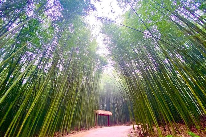 Private Car and Tour Guide Exploring Northern Vietnam - Ba Be Lake and Ha Giang: water-country scenery and village names you can track