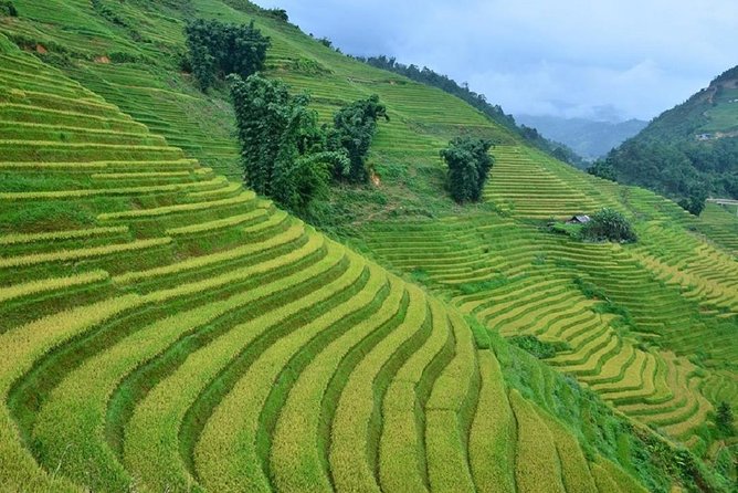 Private Car and Tour Guide Exploring Northern Vietnam - Sapa, Cat Cat, and Fanxipan: combining a classic base with the far north