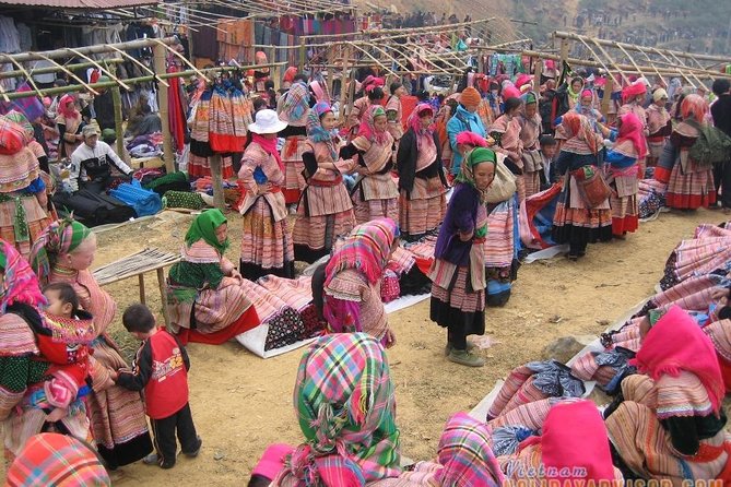 Private Car and Tour Guide Exploring Northern Vietnam - Comfort level and pacing: what to ask so it matches your style
