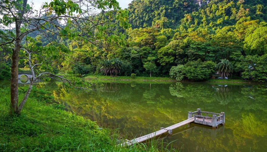 Private Day Tour: Cuc Phuong National Park from Hanoi - Into the Jungle: What Your Trek Time Is Actually For