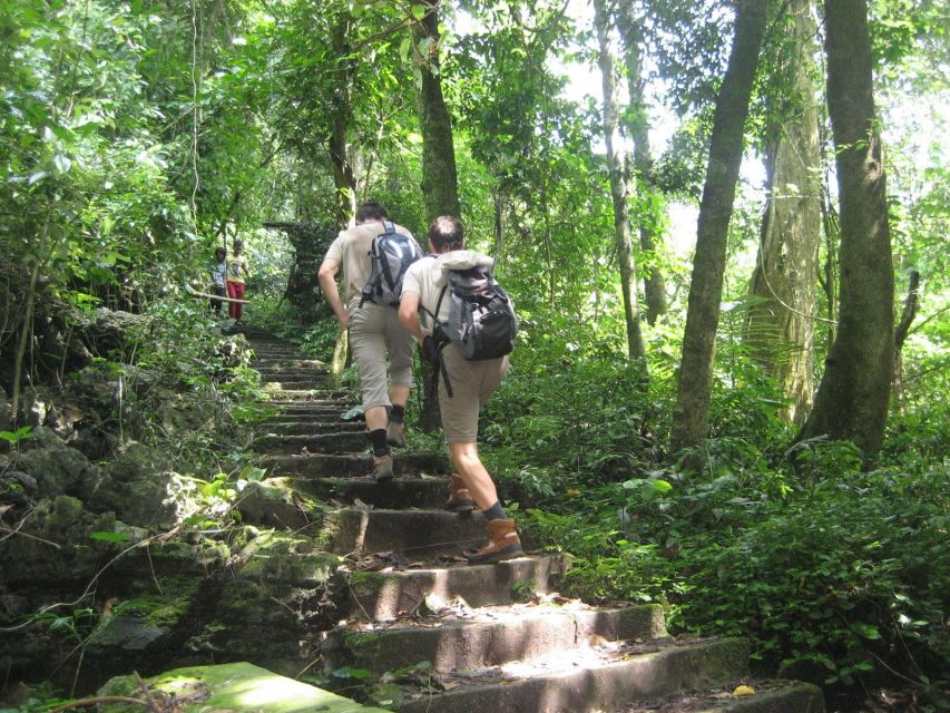 Private Day Tour: Cuc Phuong National Park from Hanoi - Lunch Break: Included, Local, and Timed for the Park