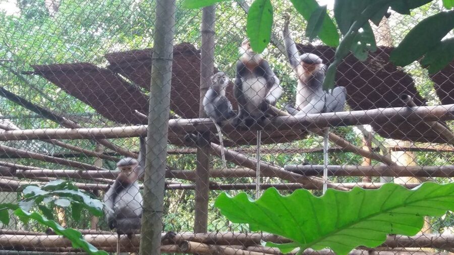 Private Day Tour: Cuc Phuong National Park from Hanoi - Price and Value: Why $130 Per Person Can Make Sense Here