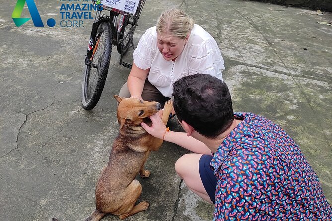 Private Full-day Tour in Quintessence of Ninh Binh - Getting Started in Hanoi Old Quarter, Around 7:00 AM