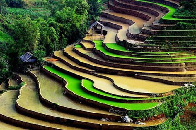 Private Full-Day Tour to Halong Bay from Hanoi - What to Bring (So a Long Day Feels Easier)