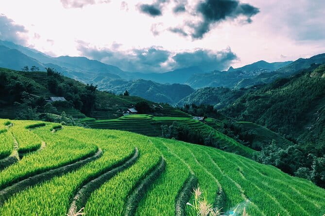 Private Half-Day Tour of Villages, Terrace Rice Fields by Car - The Half-Day Schedule: Cat Cat, Y Linh Ho, Lao Chai, Ta Van