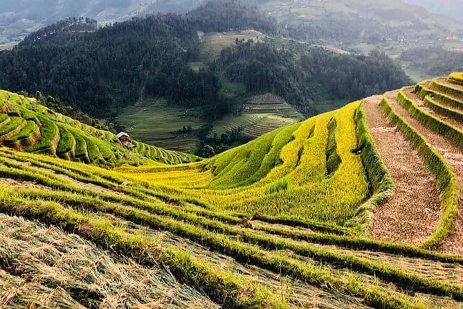 Private Half-Day Tour of Villages, Terrace Rice Fields by Car - Stop 2: Y Linh Ho Village in About 30 Minutes