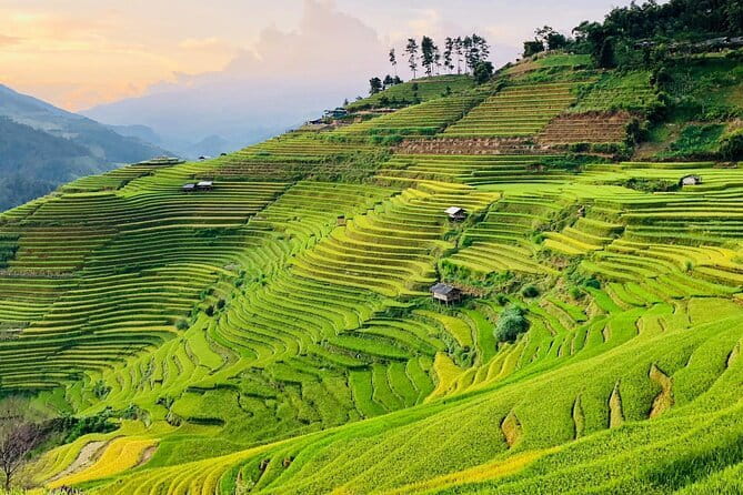 Private Half-Day Tour of Villages, Terrace Rice Fields by Car - Price and What You Actually Get for $45
