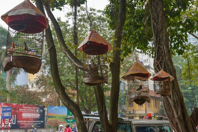 Private Hanoi Half-Day Tour: Train Street and Must Visit Places - Tran Quoc Pagoda: a quiet start on West Lake