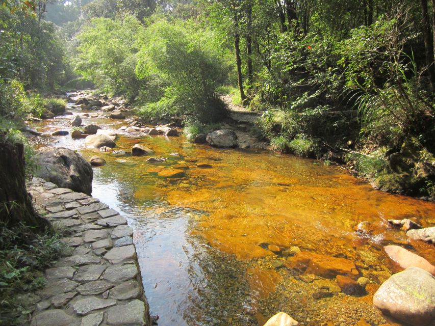 Private Hoang Lien National Park & Tribal Village Trek - The 12:30 picnic lunch in the wilderness (and how to enjoy it)