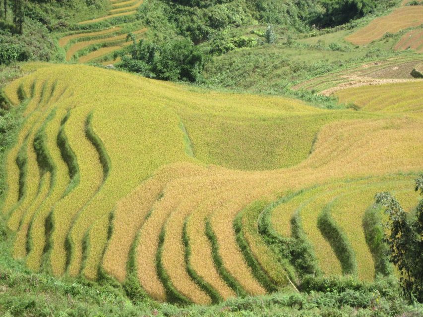 Private Hoang Lien National Park & Tribal Village Trek - Sin Chai and the Black Hmong village visit: culture that isn’t rushed