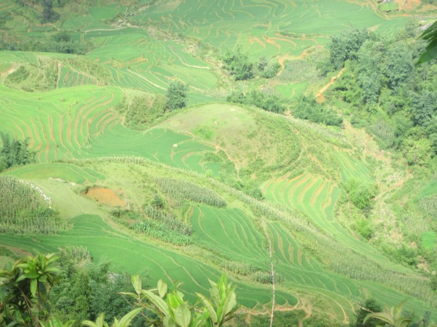 Private Hoang Lien National Park & Tribal Village Trek - Who this private Hoang Lien trek suits best