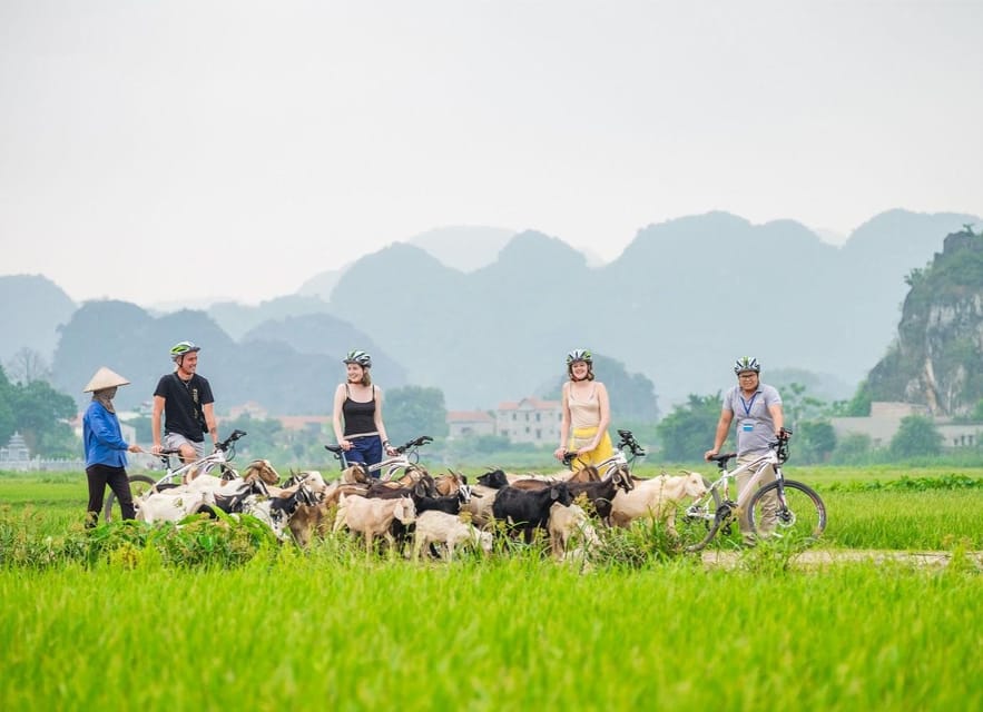 Private Luxury 1 Day Trip: Hoa Lu, Tam Coc, Mua Cave, Biking - Luxury Hanoi To Ninh Binh: What This Private Day Trip Really Delivers