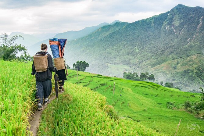 Private Tour Experience from Sapa Town to Cat Cat Village - Meeting at Sapa Church and Starting the Day at 8:30am