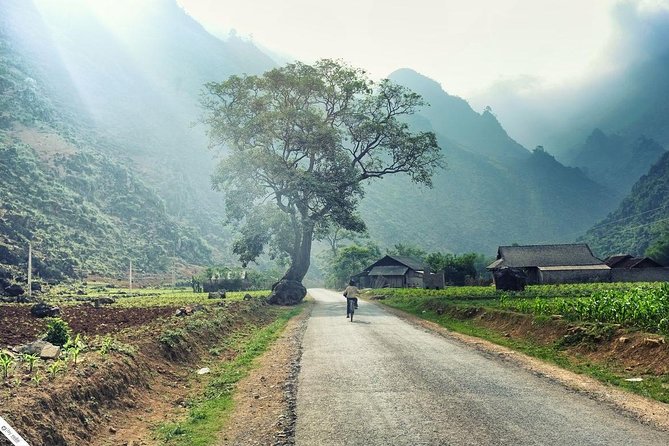 Private Transfer Between Lao Cai Train Station and Sapa Town - Pickup at Lao Cai Train Station: Where the Day Can Go Right