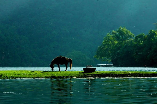 Private transfers HALONG <=> SAPA One Way (Free Hotel Pickup) - The car comfort and basics that make 7 hours feel shorter