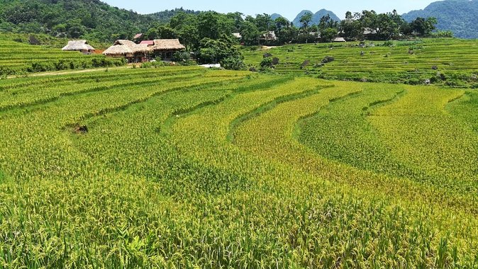 Private transfers Hanoi <=> Puluong 1 Way (Free Hotel Pickup) - Driving Time and Route Reality: 180 km in About 3.5 Hours