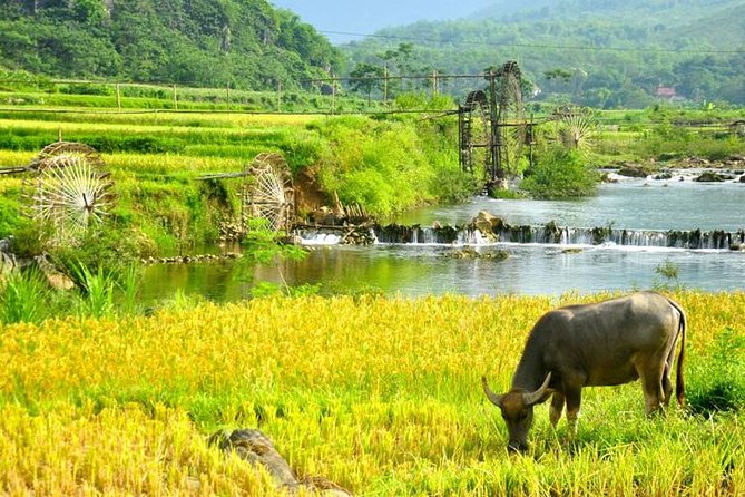 Private transfers Hanoi <=> Puluong 1 Way (Free Hotel Pickup) - Free Hotel Pickup in Hanoi: The Easiest Start