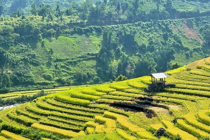 Private Trekking through Terraces Rice Fields in Sapa - Stop 2, Lao Chai: Black Hmong village, silk-ribbon terraces, family houses