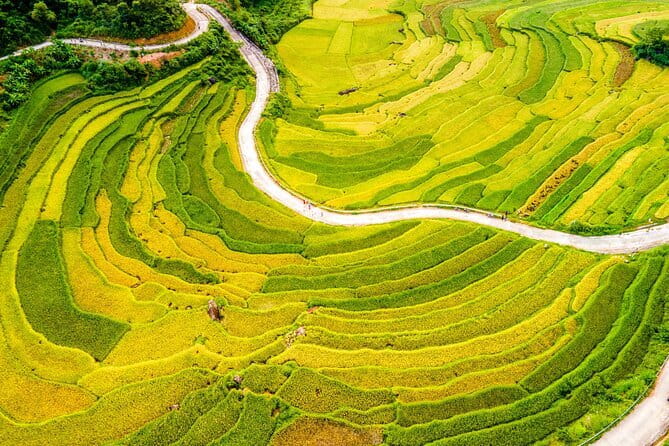 Pu Luong 2 Days Trekking & Village Experience with local Family - Day 1: Rice Terraces, Village Encounters, and a Comfortable Homestay Night