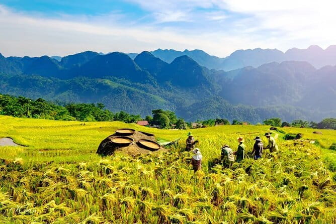 Pu Luong 3-Day Adventure: Trekking, Cycling & Local Cooking Class - Price and Value of a $219 Guided Package