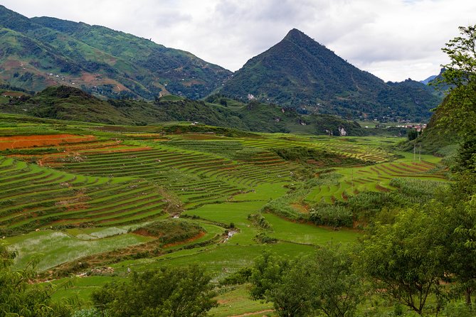 Red Dao village trek and Herbal bath - Red Dao village trek plus herbal smoke bath, the vibe and the payoff