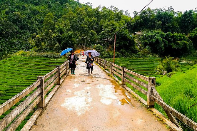 Rice Terraced Fields & Homestay Experience– 2D 1N - Why the Local Guide Makes the Trek Worth It (Sang, Su, Mi, Tung, Ly, Soso)
